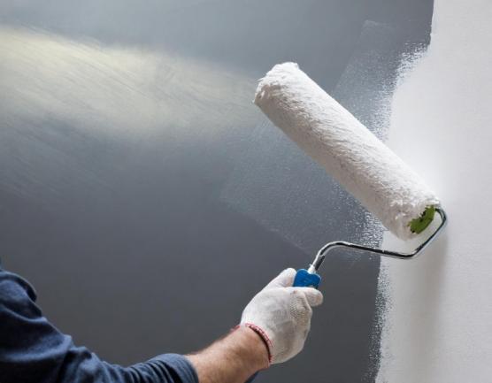 Artisan peintre à Londerzeel